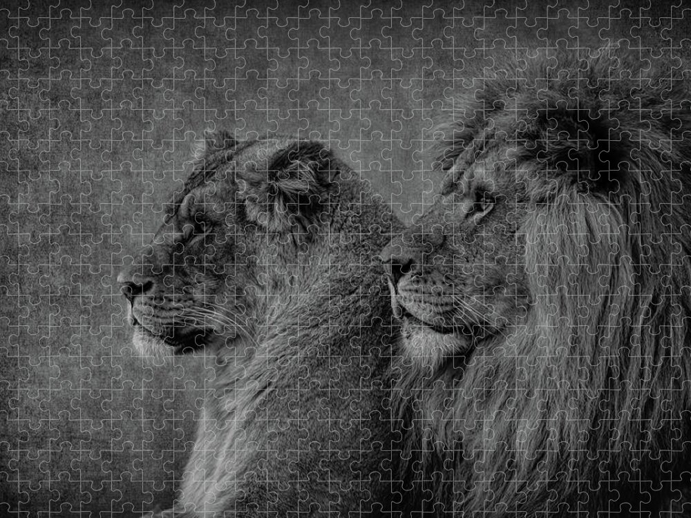 Lion Jigsaw Puzzle featuring the digital art Lion And Lioness Portrait #1 by Marjolein Van Middelkoop