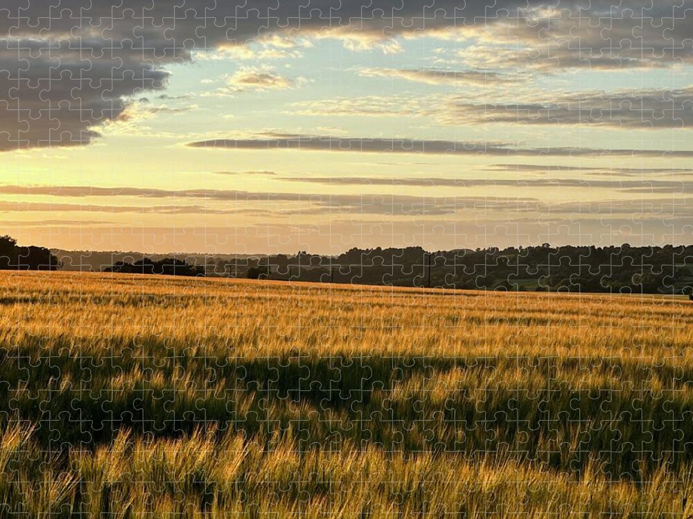 Northampton Jigsaw Puzzle featuring the photograph Northamptonshire Countryside #1 by Gordon James