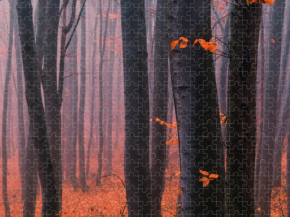 Mountain Jigsaw Puzzle featuring the photograph Orange Wood by Evgeni Dinev