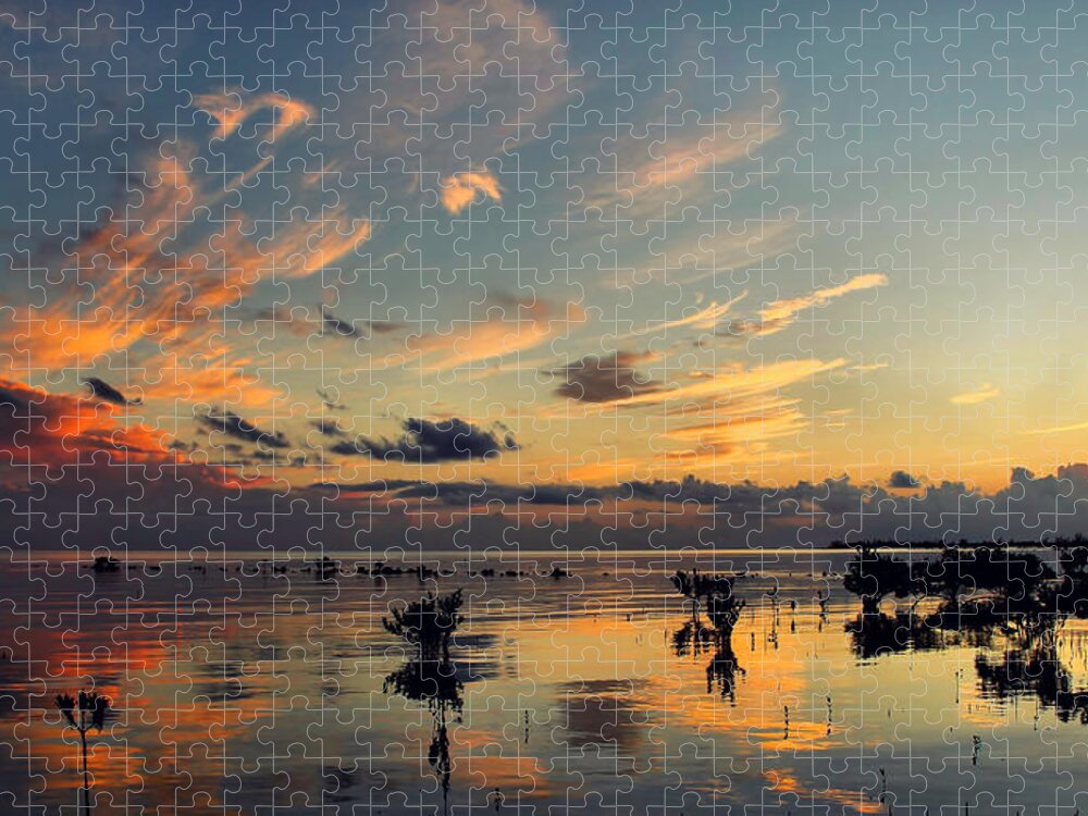 Sunlight Jigsaw Puzzle featuring the photograph Pink Clouds #1 by Montez Kerr