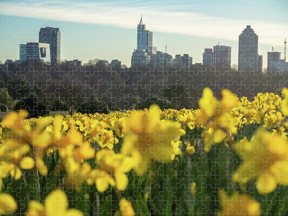 Skyline Jigsaw Puzzle featuring the photograph Raleigh Skyline #1 by Rick Nelson