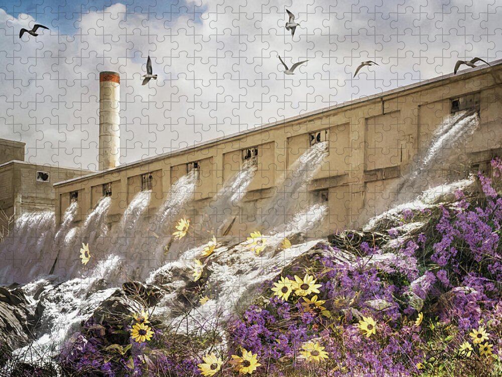 Water Jigsaw Puzzle featuring the photograph Rushing Waters by Shara Abel