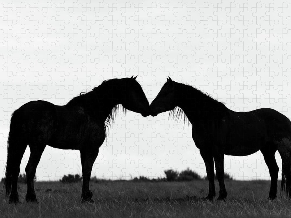 Horses Jigsaw Puzzle featuring the photograph Silhouette #1 by Mary Hone