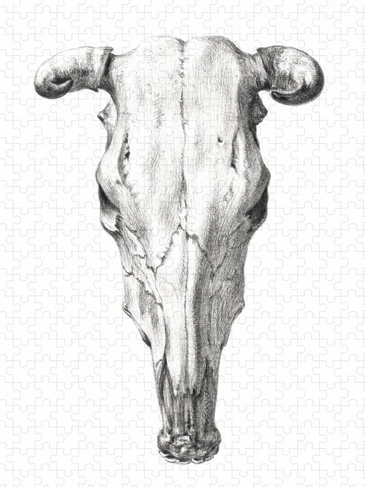 Skull Jigsaw Puzzle featuring the drawing Skull cattle horns vintage art old 1900 century hand painted illustration, skull #1 by Mounir Khalfouf