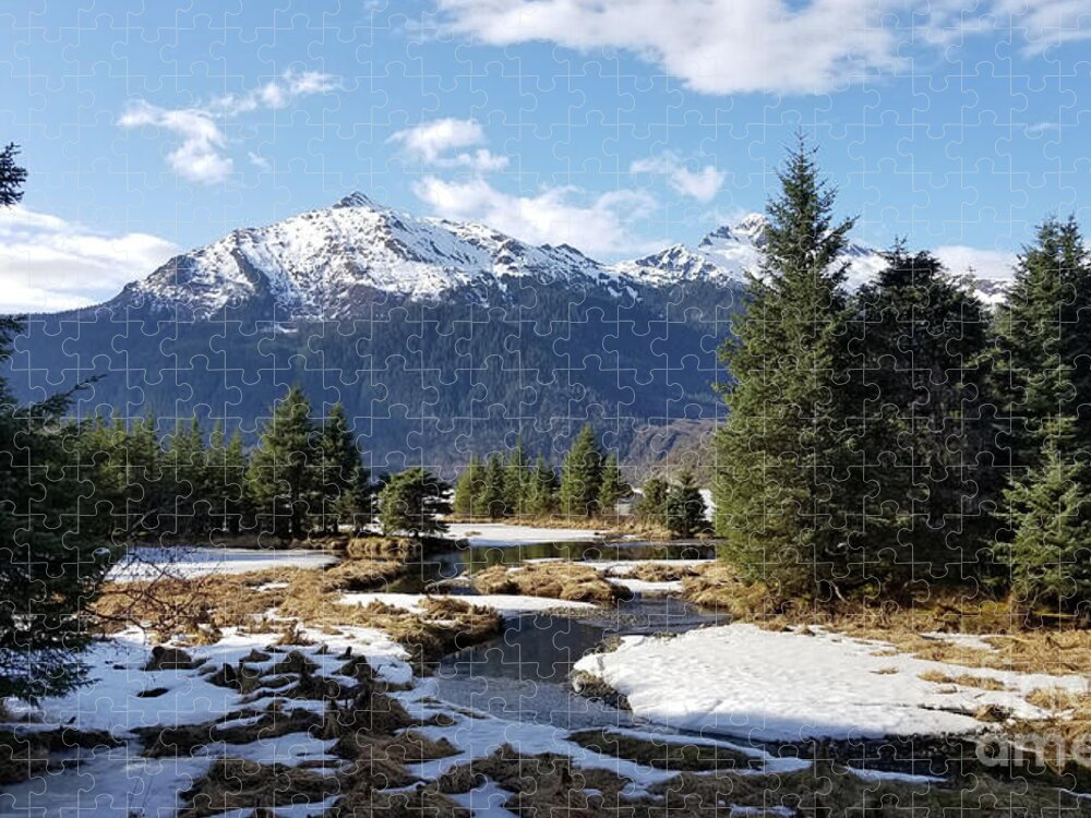 #alaska #ak #juneau #cruise #tours #vacation #peaceful #sealaska #southeastalaska #calm #mendenhallglacier #glacier #capitalcity #dredgelakes #forrest #stream #hike #hiking #snow #cold #clouds #spring #mtmcginnis #sprucewoodstudios Jigsaw Puzzle featuring the photograph Spring at Mt. McGinnis by Charles Vice