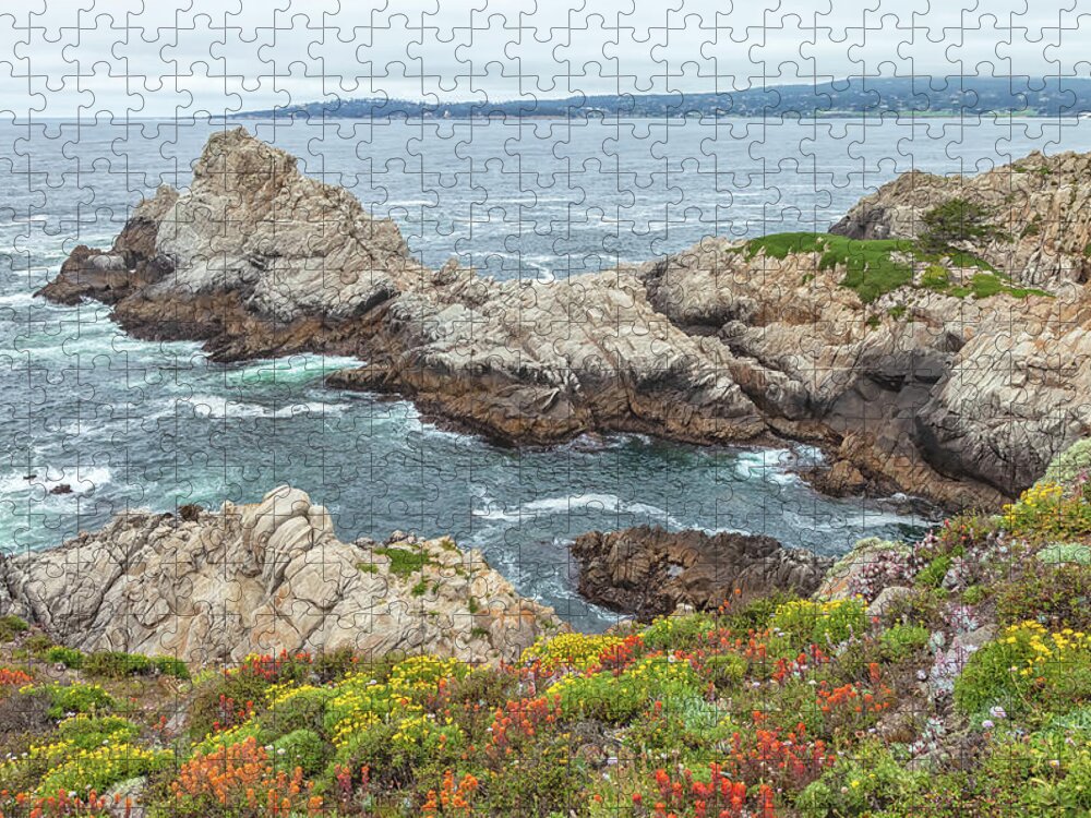 Seascapes Jigsaw Puzzle featuring the photograph Summer Blooms #2 by Jonathan Nguyen