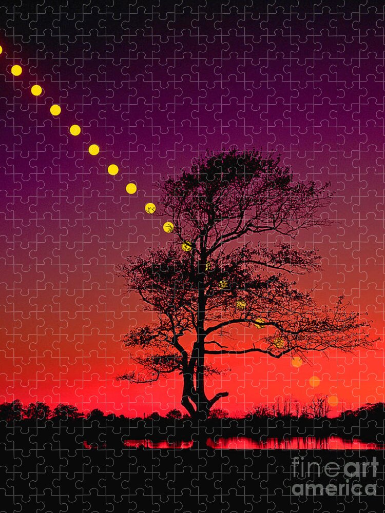 Astronomy Jigsaw Puzzle featuring the photograph Sunset #1 by Larry Landolfi