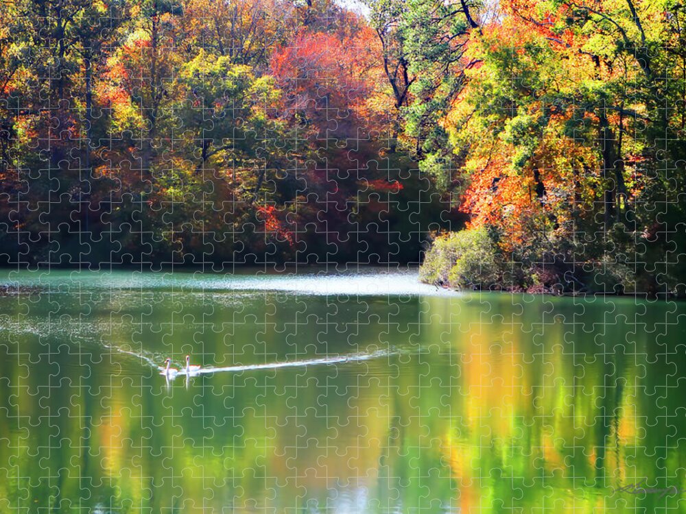 Color Jigsaw Puzzle featuring the photograph Swans on the Lake -1 #1 by Alan Hausenflock