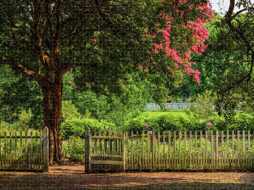 Colonial Williamsburg Jigsaw Puzzle featuring the photograph Taliaferro-Cole Garden in the Summertime #1 by Rachel Morrison