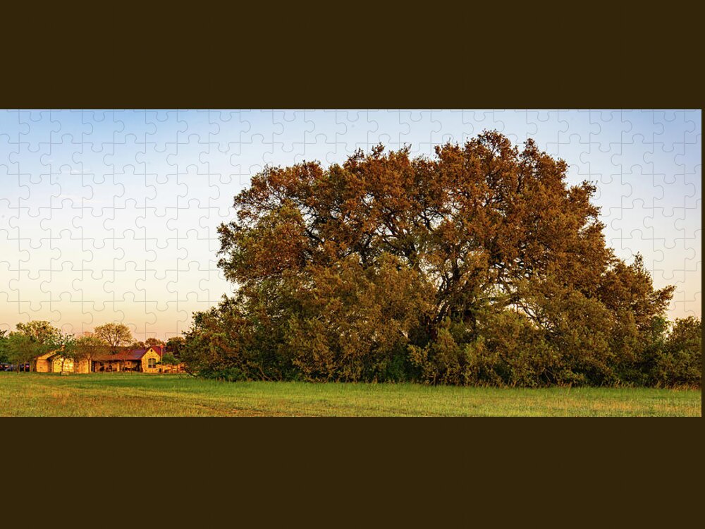 Bosque County Jigsaw Puzzle featuring the photograph Texas Ranch Oak at Sunset by Ron Long Ltd Photography