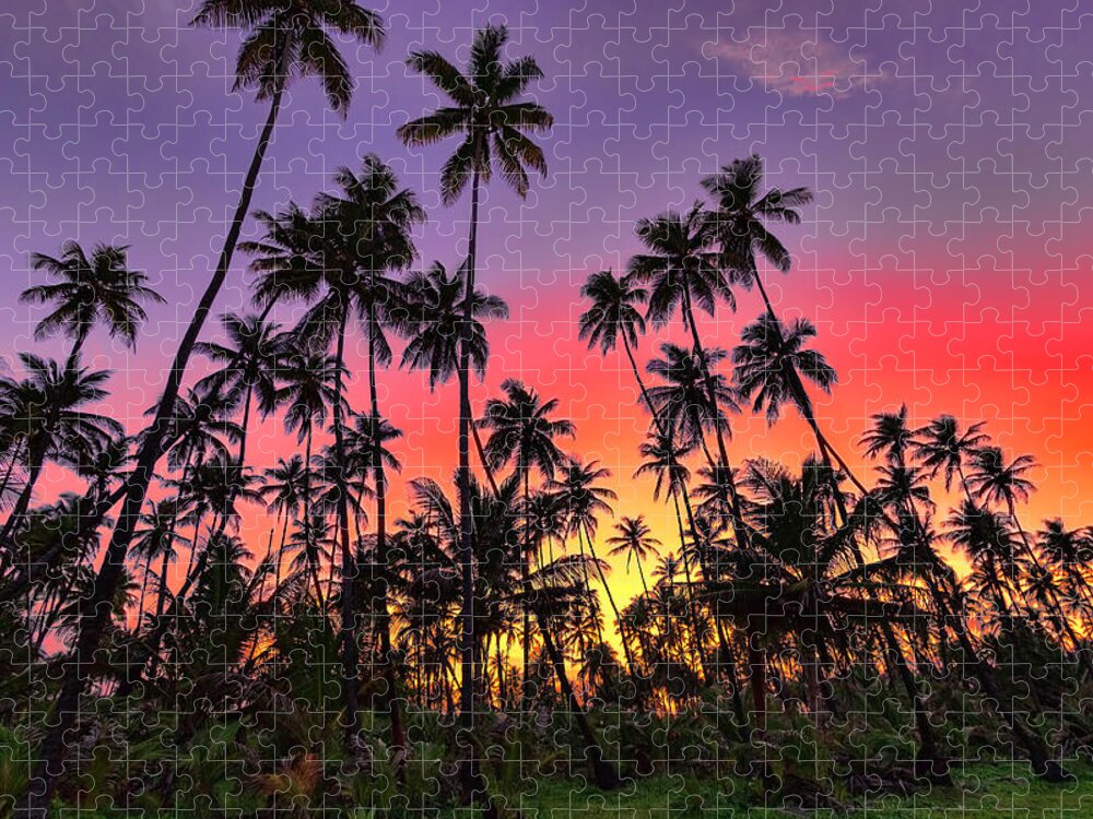 Sunset Jigsaw Puzzle featuring the photograph Tropical Sunset #1 by Nadia Sanowar