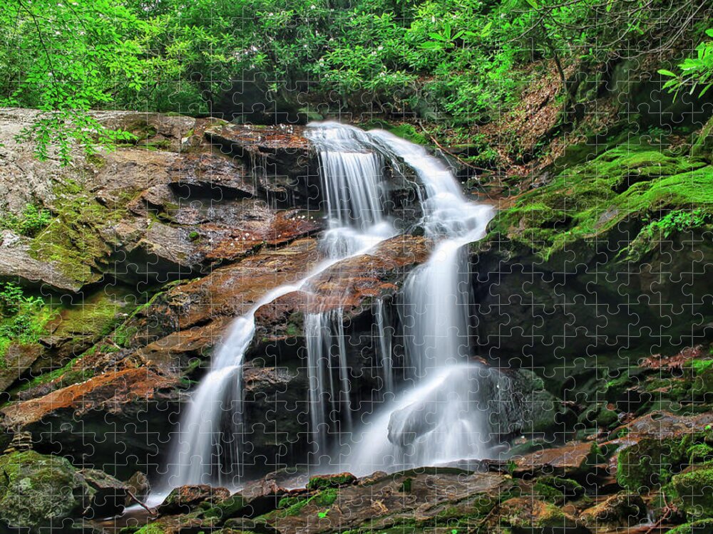 Waterfall Jigsaw Puzzle featuring the photograph Upper Dill Falls #1 by Chris Berrier