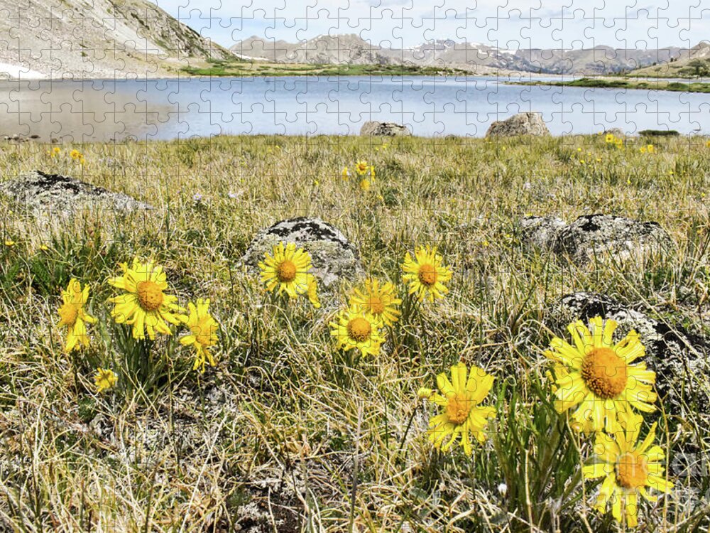 Nature Jigsaw Puzzle featuring the photograph Wildflowers in the Rockies #1 by Tonya Hance