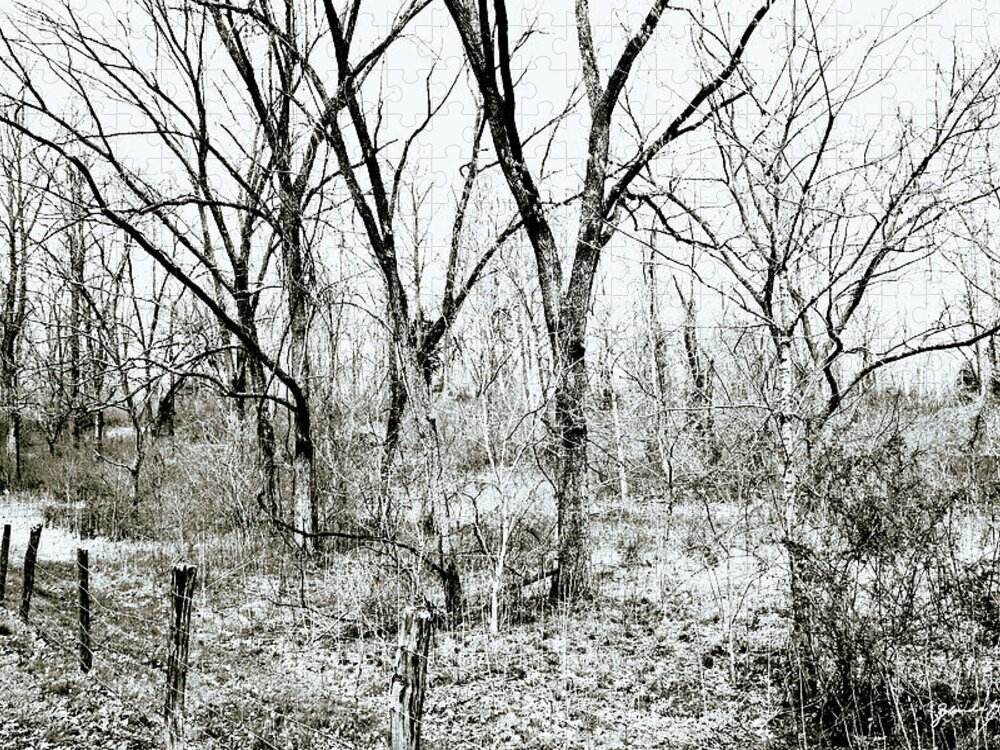 Black-and-white Jigsaw Puzzle featuring the photograph Winter by Gerlinde Keating - Galleria GK Keating Associates Inc