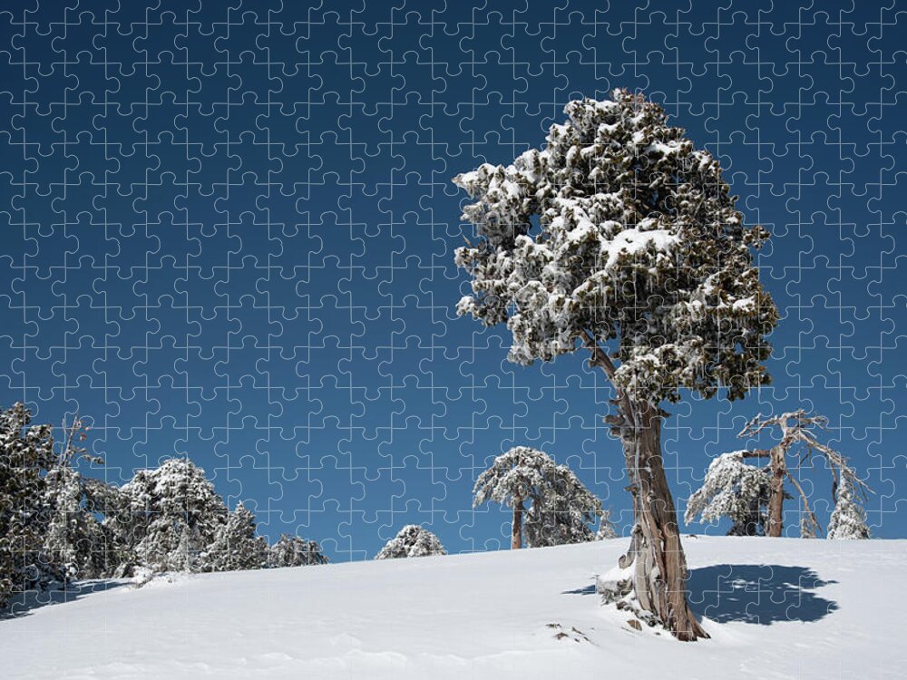Single Tree Jigsaw Puzzle featuring the photograph Winter landscape in snowy mountains. Frozen snowy lonely fir trees against blue sky. by Michalakis Ppalis
