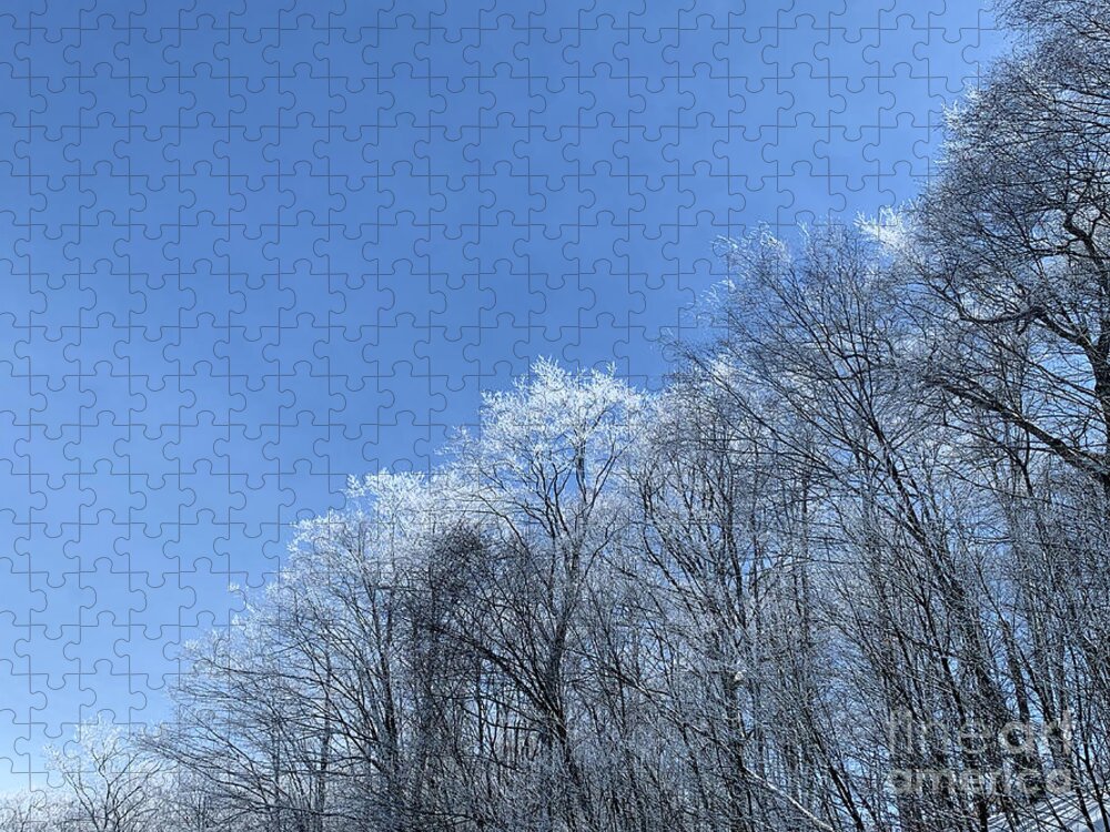  Jigsaw Puzzle featuring the photograph Winter wonderland by Annamaria Frost