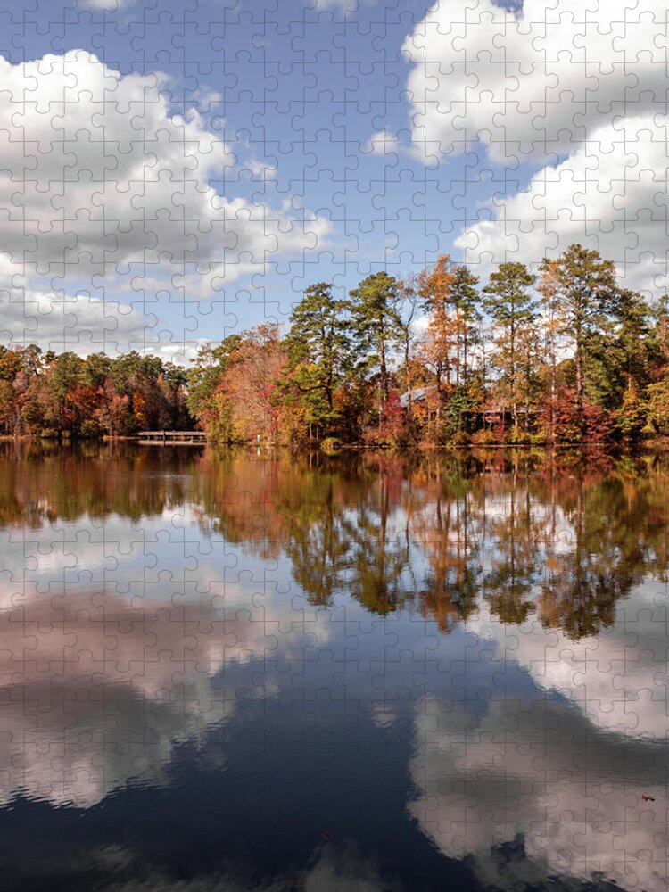 Background Jigsaw Puzzle featuring the photograph Yates Mill Pond Reflection #1 by Rick Nelson