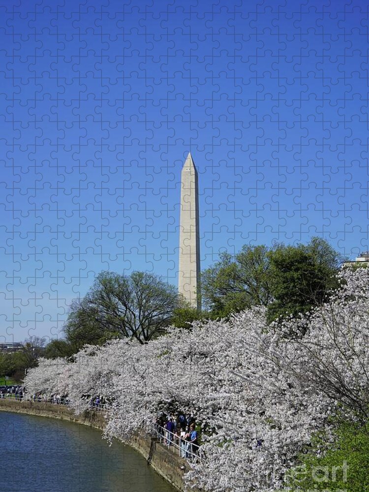  Jigsaw Puzzle featuring the photograph Cherry Blossoms Washington DC #10 by Annamaria Frost