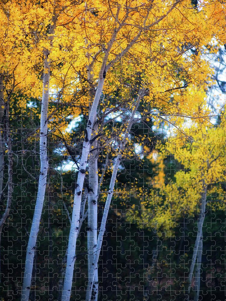 Co Jigsaw Puzzle featuring the photograph Fall colors, Colorado #3 by Doug Wittrock