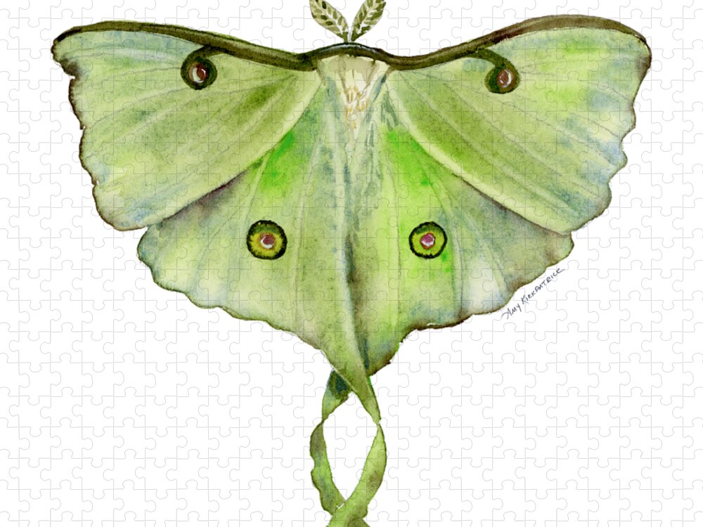 Green Butterfly Jigsaw Puzzle featuring the painting 100 Luna Moth by Amy Kirkpatrick