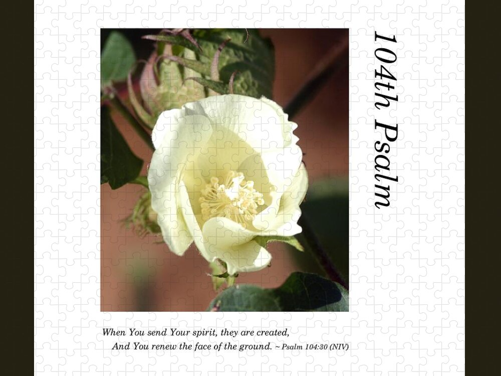 Richard E. Porter Jigsaw Puzzle featuring the photograph 104th Psalm-Cotton Bloom 3 by Richard Porter