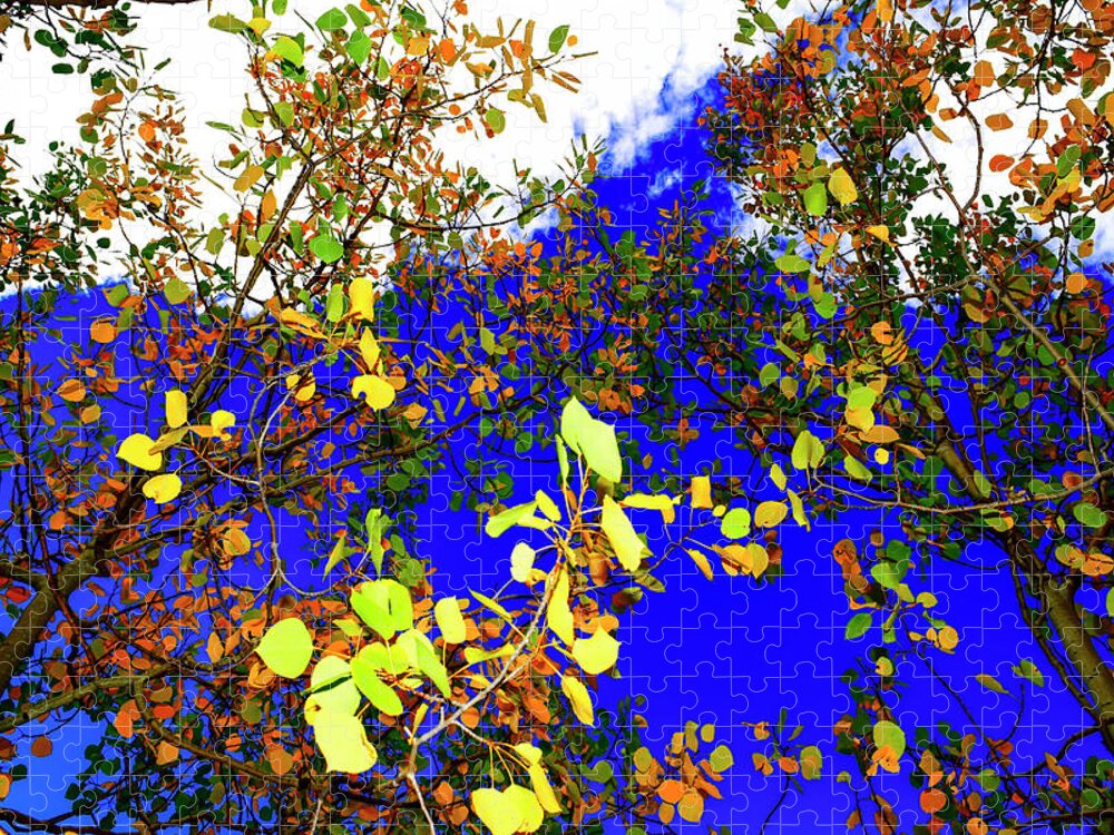 Bright Blue Sky Jigsaw Puzzle featuring the photograph Colorado Autumn Photography 20160911-77 by Rowan Lyford
