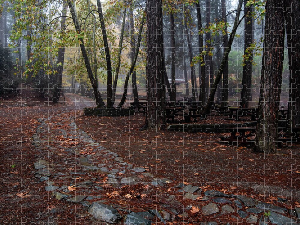 Autumn Jigsaw Puzzle featuring the photograph Autumn landscape with trees and Autumn leaves on the ground after rain #7 by Michalakis Ppalis