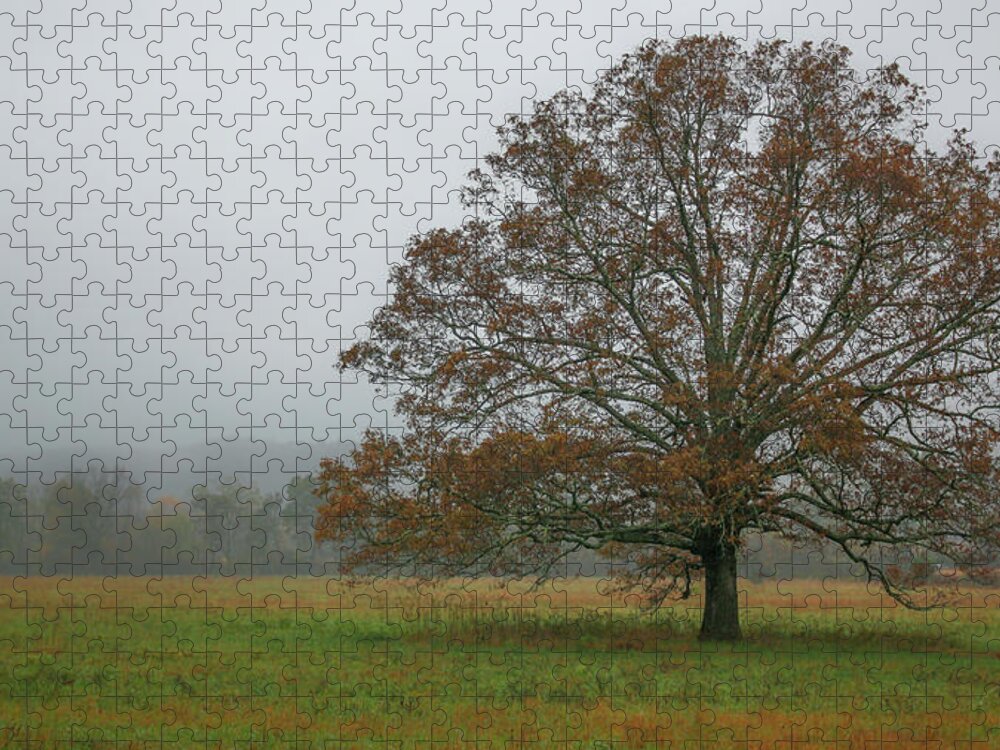 Art Prints Jigsaw Puzzle featuring the photograph Cades Cove 2 by Nunweiler Photography