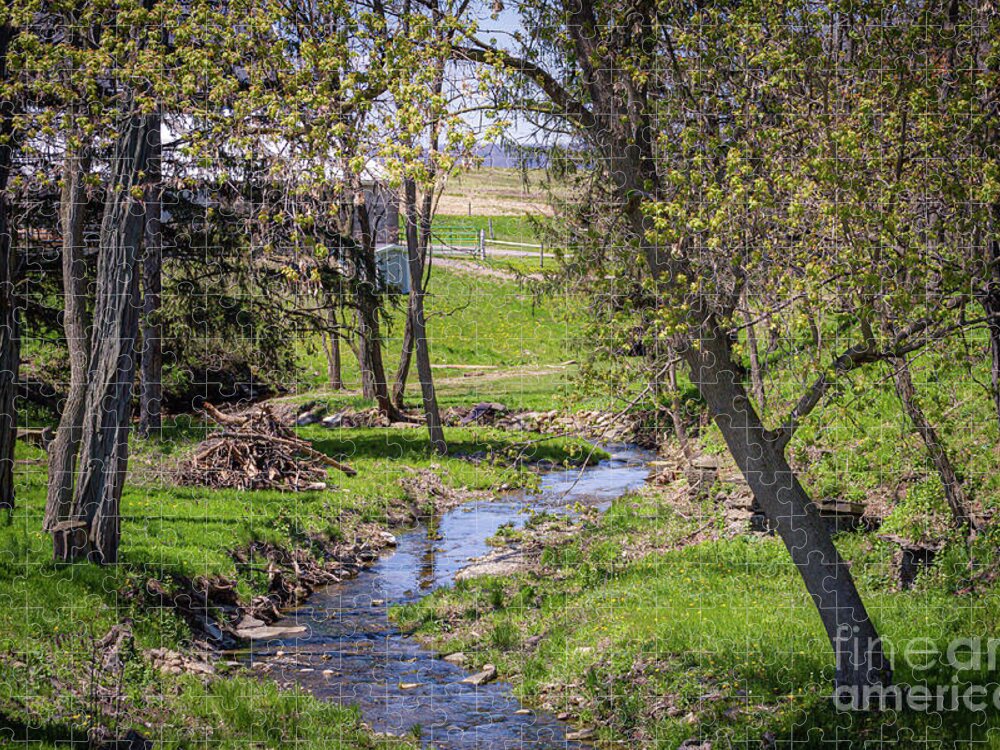 Creek Jigsaw Puzzle featuring the photograph Creekside #2 by William Norton