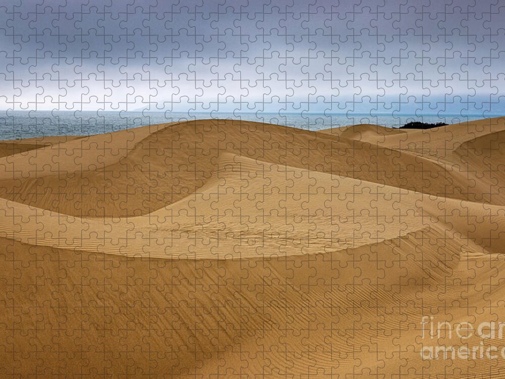 Oceano Dunes Jigsaw Puzzle featuring the photograph Dunes to the Sea #2 by Mimi Ditchie