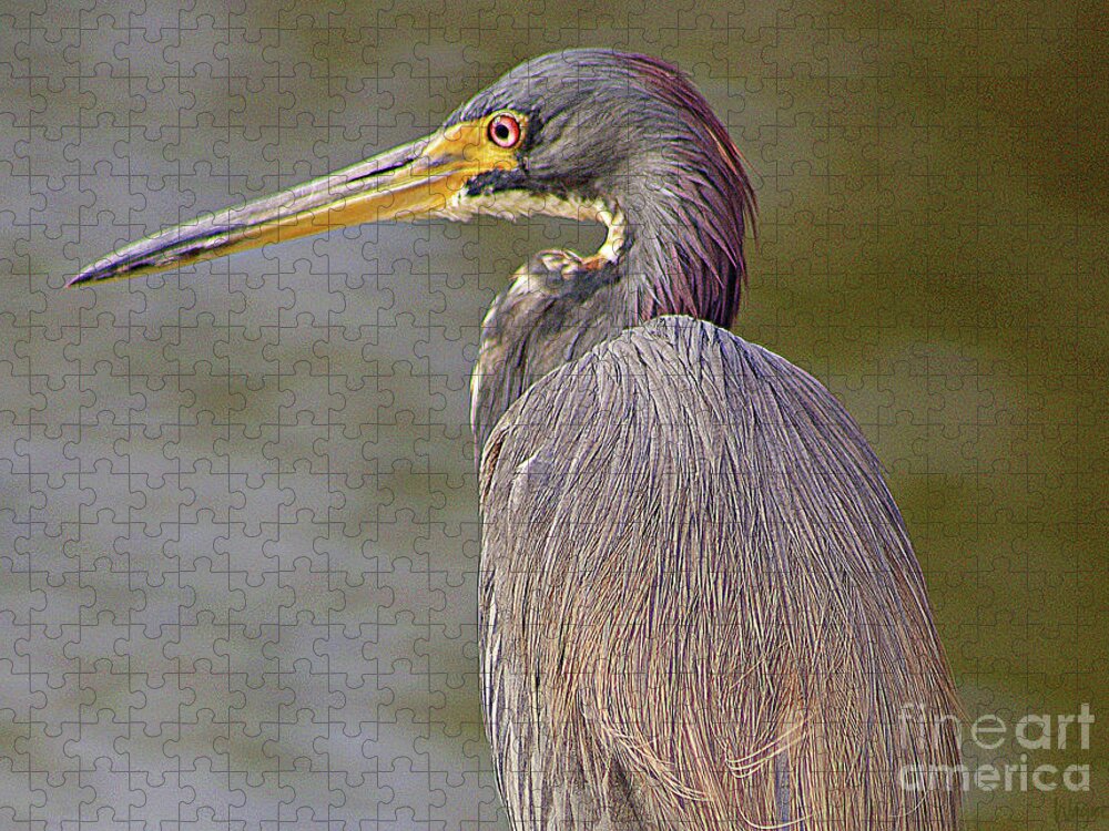Heron Jigsaw Puzzle featuring the photograph Heron #2 by Hilda Wagner