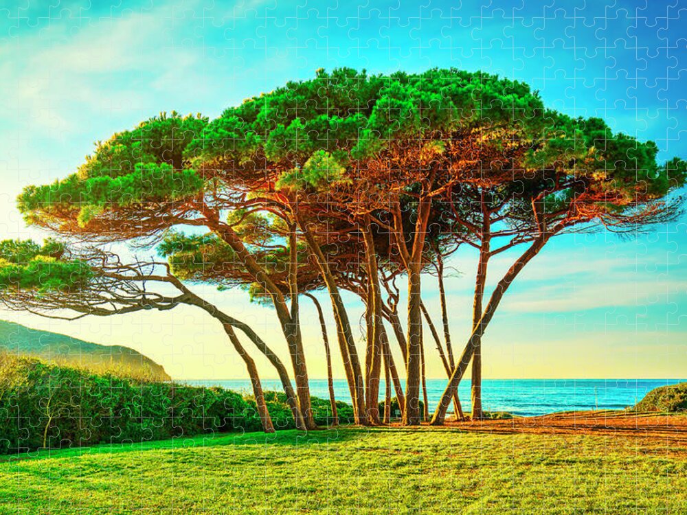 Baratti Jigsaw Puzzle featuring the photograph Maritime Pine tree group near sea and beach. Baratti, Tuscany. by Stefano Orazzini