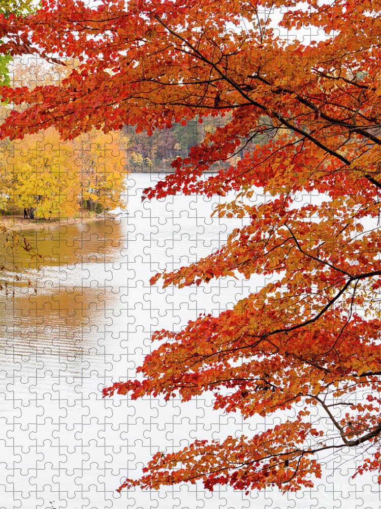 Gaithersburg Jigsaw Puzzle featuring the photograph Peaking autumn colors around the lake at Seneca Creek State Park #2 by William Kuta
