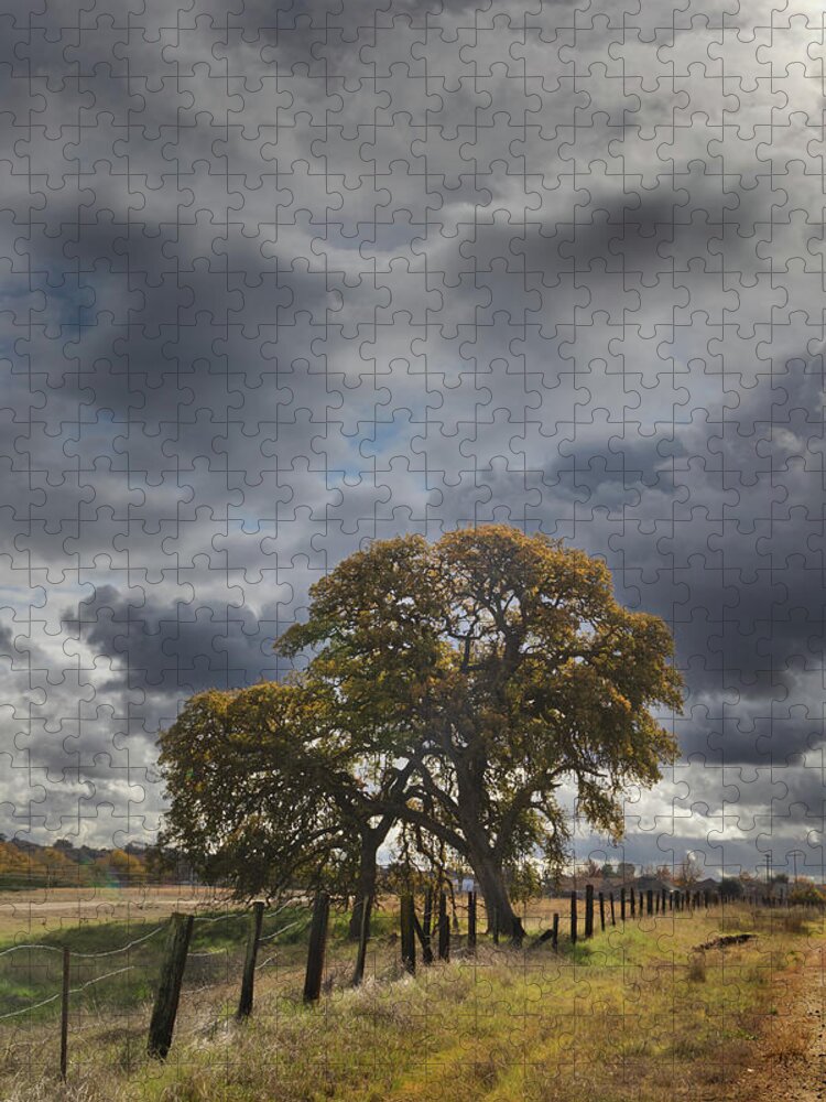  Jigsaw Puzzle featuring the photograph San Miguel #2 by Lars Mikkelsen