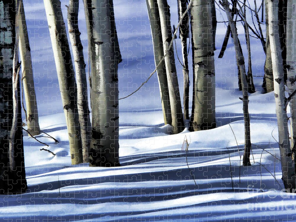 Winter Jigsaw Puzzle featuring the photograph Shadows #2 by Roland Stanke