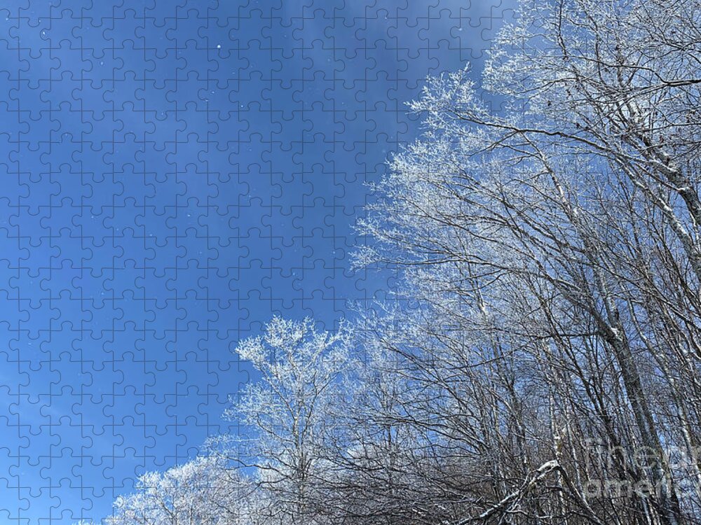  Jigsaw Puzzle featuring the photograph Winter Wonderland by Annamaria Frost
