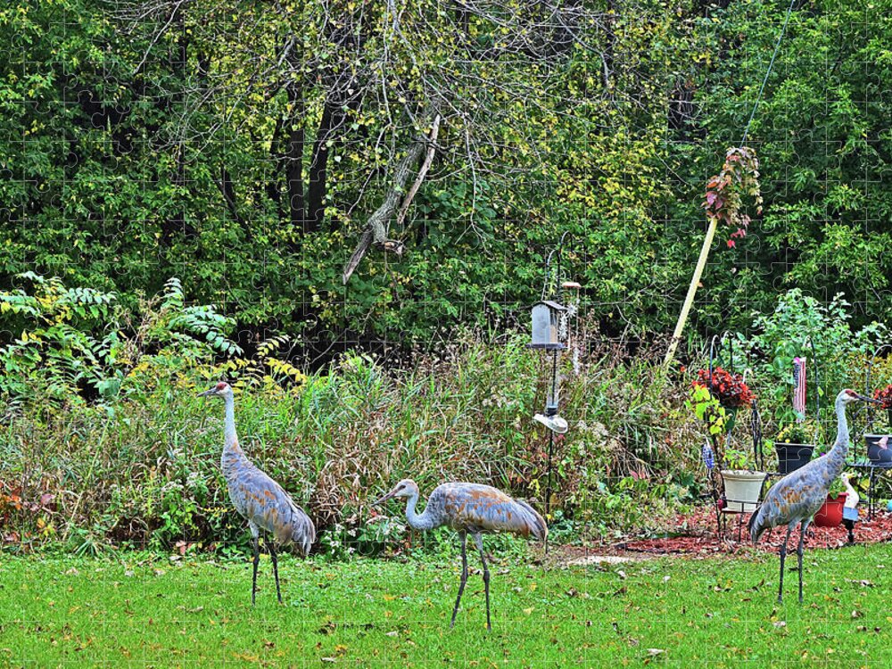 Sandhill Cranes Jigsaw Puzzle featuring the photograph 2021 Fall Sandhill Cranes 3 by Janis Senungetuk