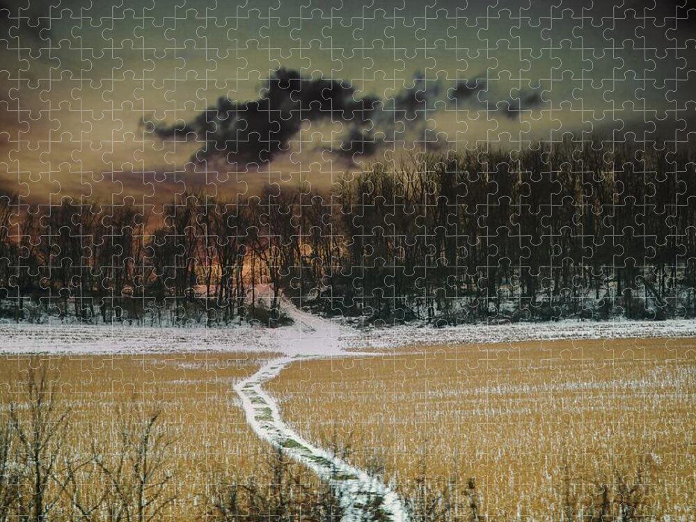 Mangrove Sunset Sunset Jigsaw Puzzle featuring the photograph Mangrove Sunset by Montez Kerr
