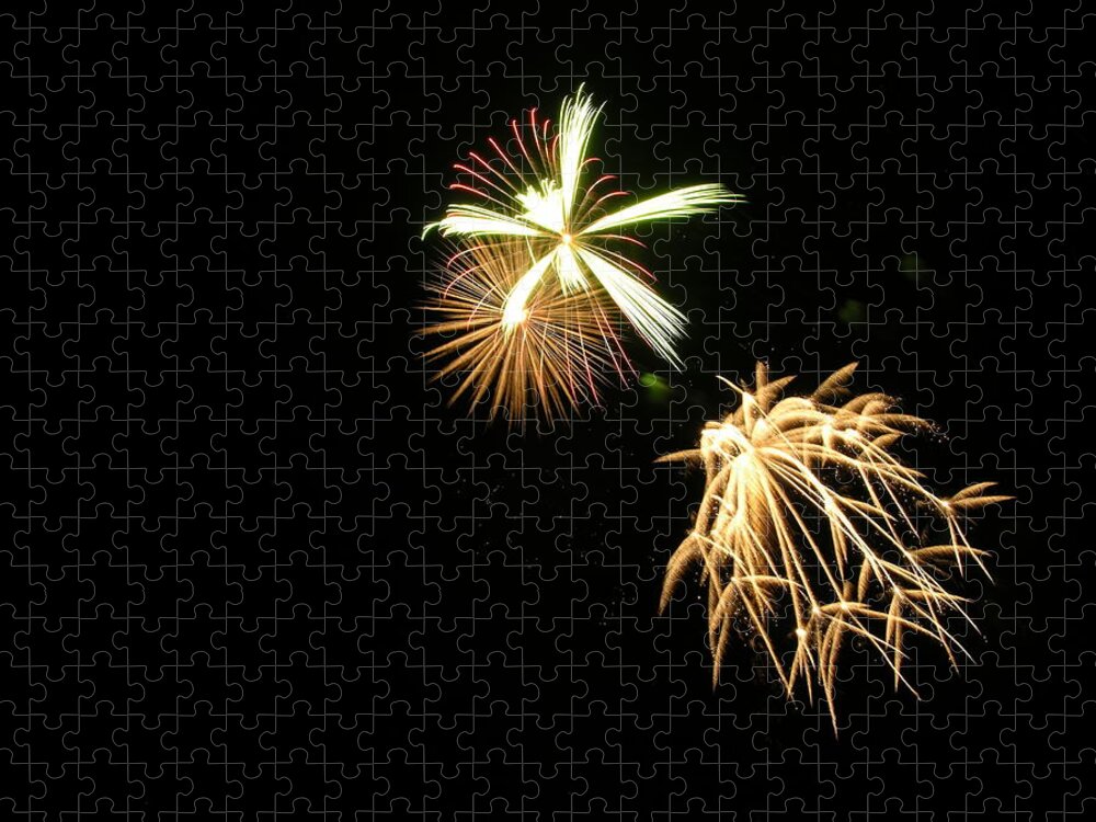 Fireworks Jigsaw Puzzle featuring the photograph Fireworks #28 by George Pennington