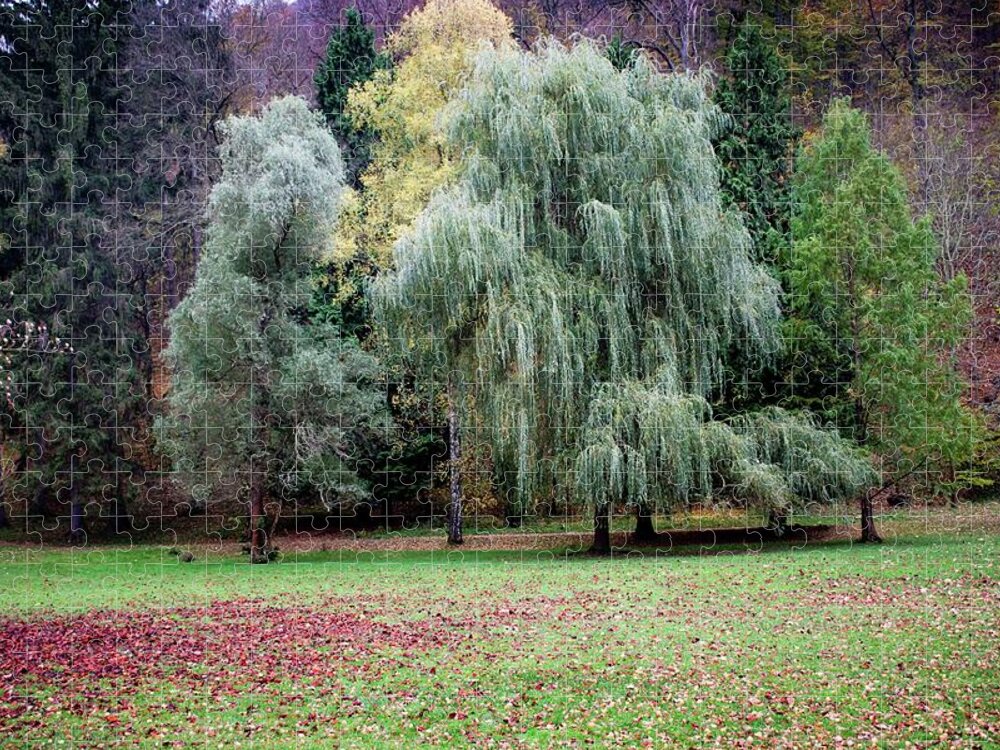 Autumn Jigsaw Puzzle featuring the photograph Autumn #28 by Robert Grac