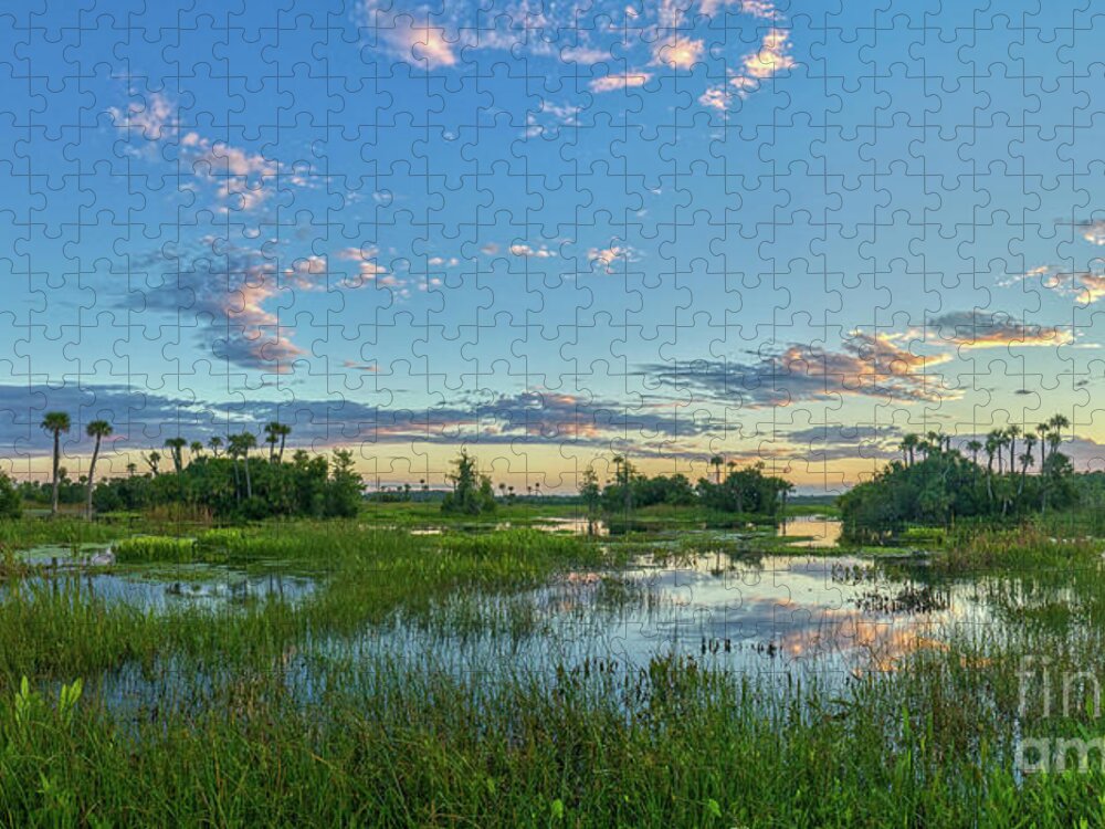 Usa Jigsaw Puzzle featuring the photograph Natural Florida #3 by Brian Kamprath