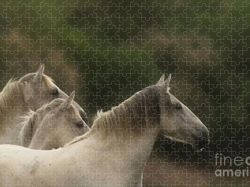 Salt River Wild Horses Jigsaw Puzzle featuring the photograph 3 by Shannon Hastings