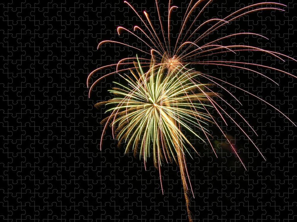 Fireworks Jigsaw Puzzle featuring the photograph Fireworks #37 by George Pennington