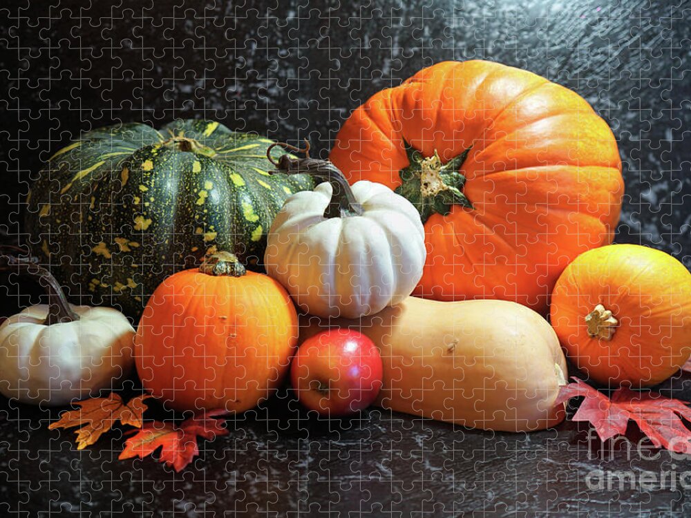 Pumpkin Jigsaw Puzzle featuring the photograph Autumn harvest, diverse assortment of pumpkins on a black marble table counter. #4 by Milleflore Images
