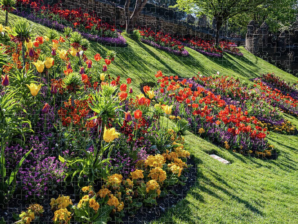 Plant Jigsaw Puzzle featuring the photograph Guildford Castle Gardens #4 by Shirley Mitchell