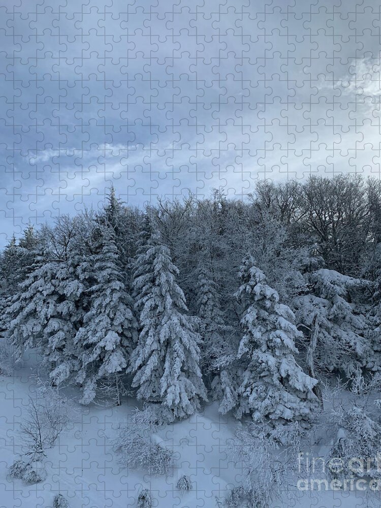  Jigsaw Puzzle featuring the photograph Winter Wonderland by Annamaria Frost