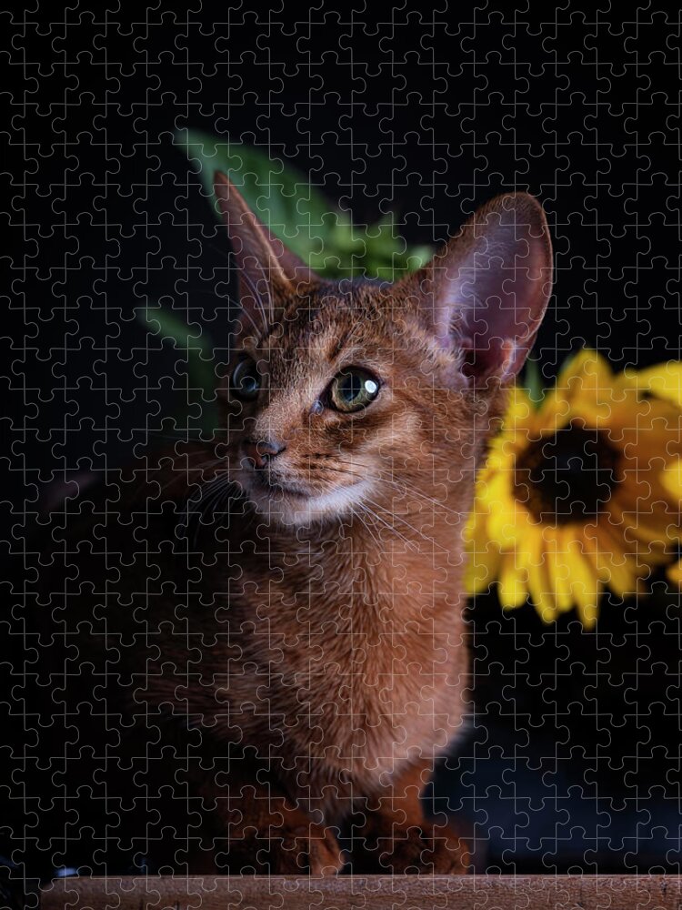 Abyssinian Kitten Jigsaw Puzzle featuring the photograph Abyssinian Kitten #6 by Nailia Schwarz