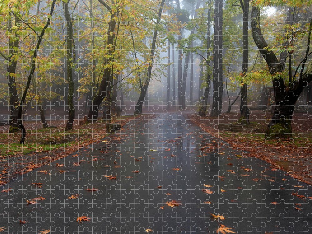 Autumn Jigsaw Puzzle featuring the photograph Autumn landscape with trees and Autumn leaves on the ground after rain by Michalakis Ppalis