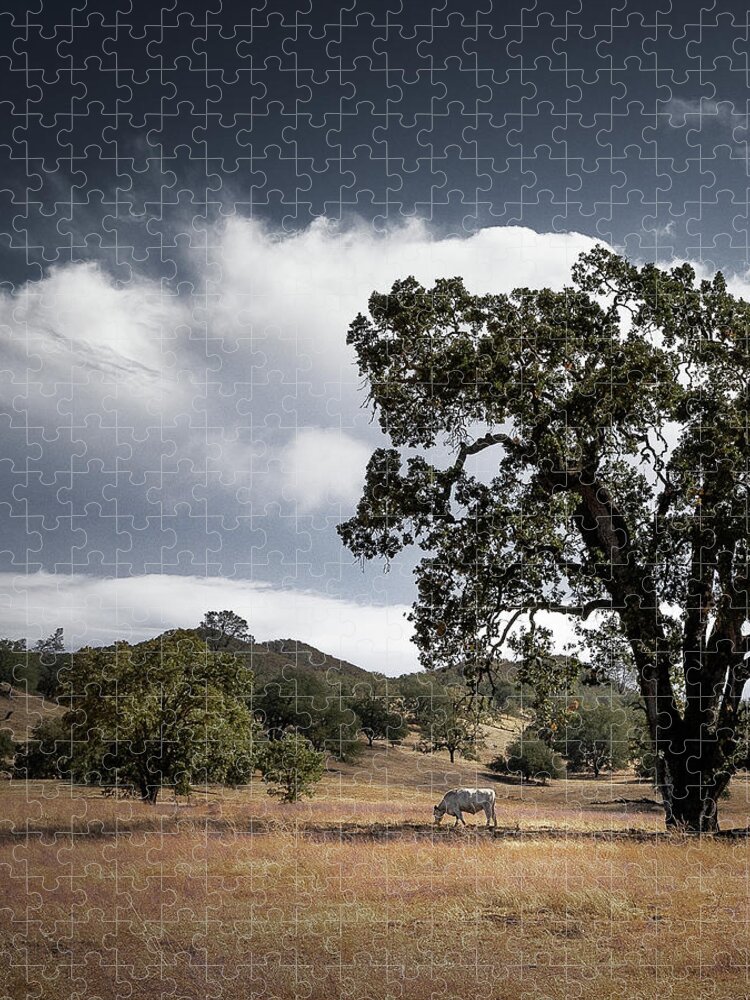 Jigsaw Puzzle featuring the photograph Santa Margarita #8 by Lars Mikkelsen