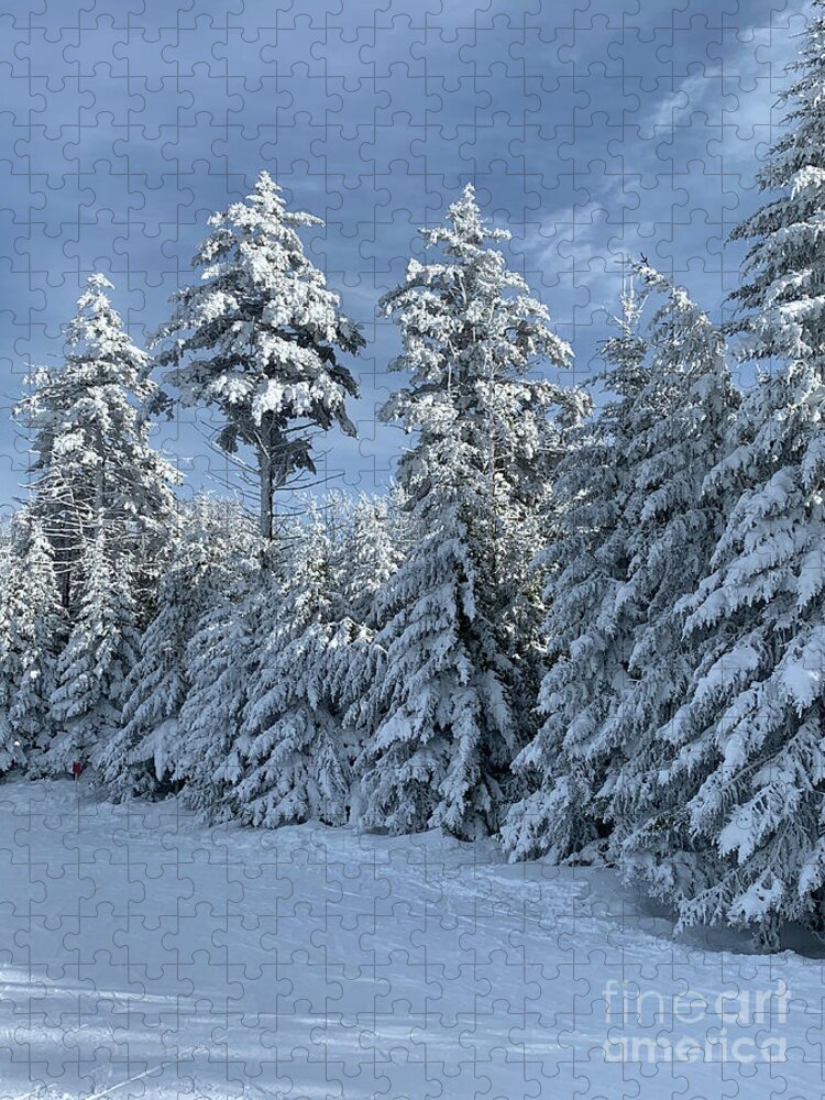  Jigsaw Puzzle featuring the photograph Winter Wonderland #7 by Annamaria Frost